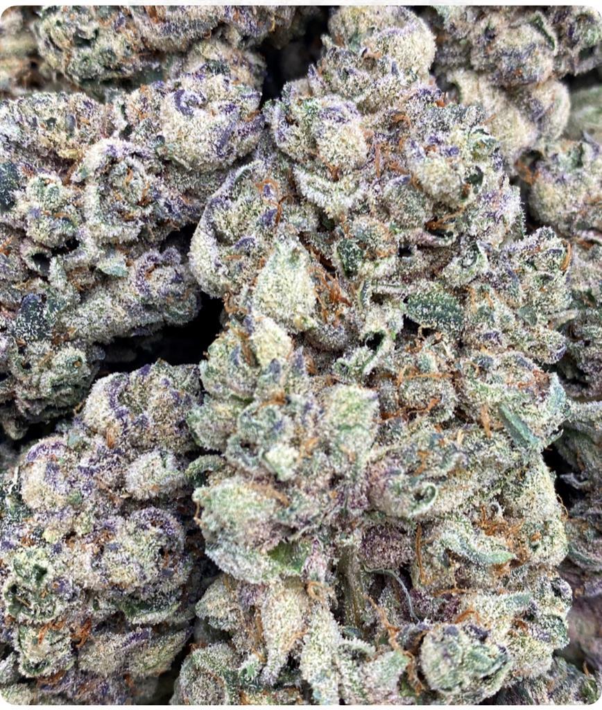 EX. ICED OUT TANGIE: 